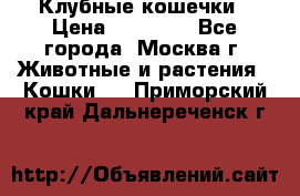 Клубные кошечки › Цена ­ 10 000 - Все города, Москва г. Животные и растения » Кошки   . Приморский край,Дальнереченск г.